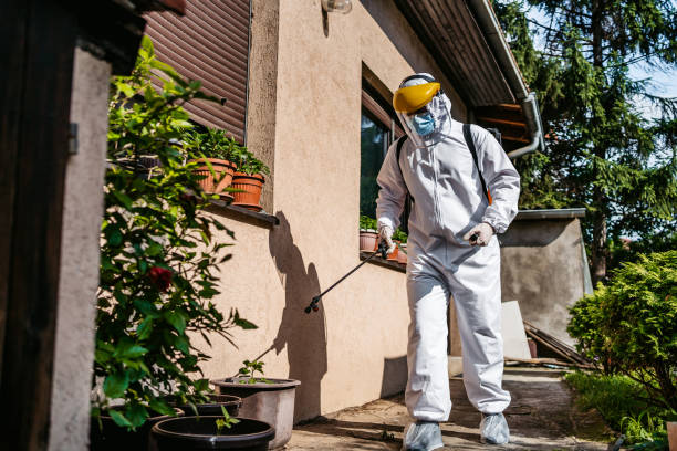 Pest Control Cost in Sequim, WA