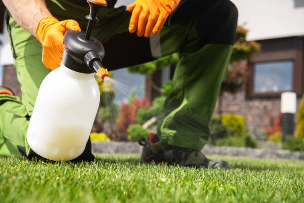 Best Mosquito Control Services  in Sequim, WA