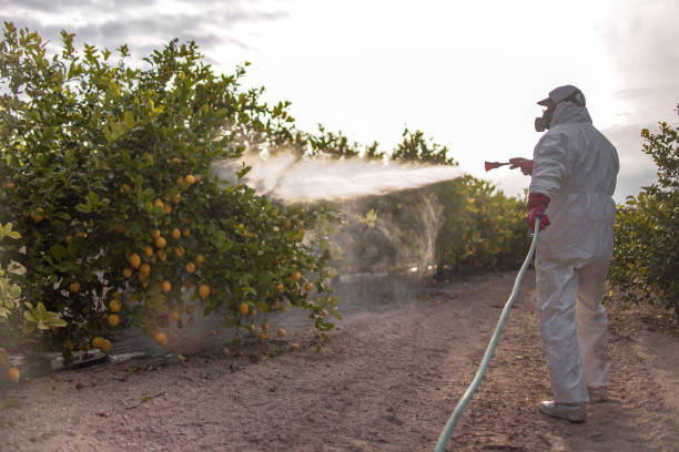 Best Pest Control Near Me in Sequim, WA