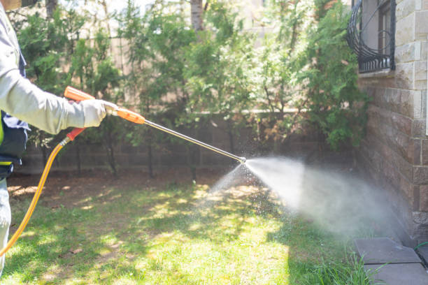 Reliable Sequim, WA Pest Control Solutions
