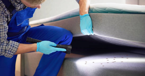 Best Rat Extermination Near Me  in Sequim, WA