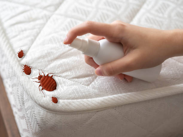 Best Exterminator Services  in Sequim, WA