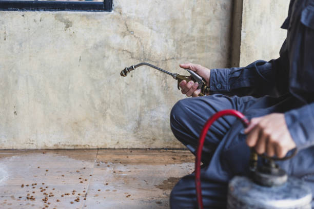 Best Best Pest Control Companies  in Sequim, WA